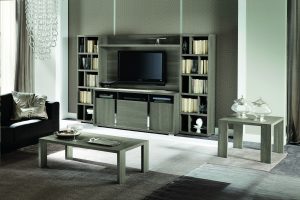 Tivoli Entertainment Center with Curio