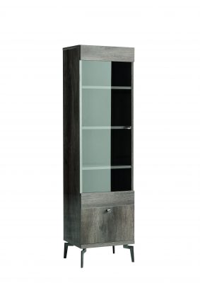 Vega Bookcase with Glass Door